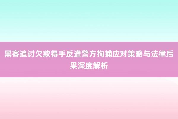 黑客追讨欠款得手反遭警方拘捕应对策略与法律后果深度解析